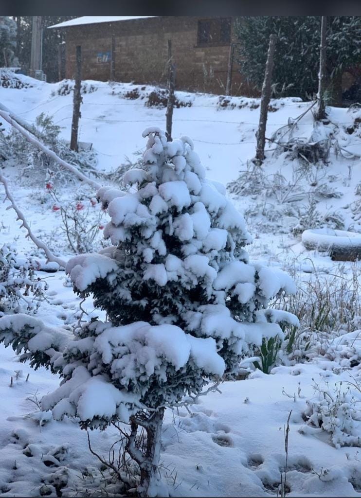 Nieve en Durango.