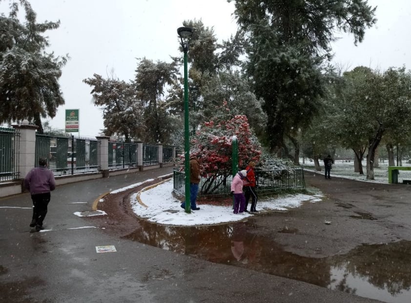 Las nevadas en La Laguna