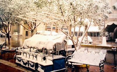 Las nevadas en La Laguna