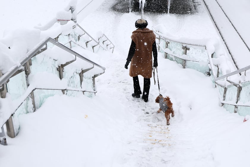 Nevada en Alemania