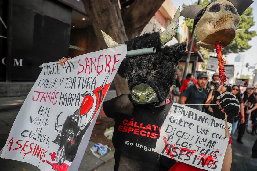 Decenas protestan contra reapertura de Plaza México este domingo