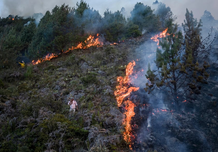 Muertos por incendios en Chile superan el centenar