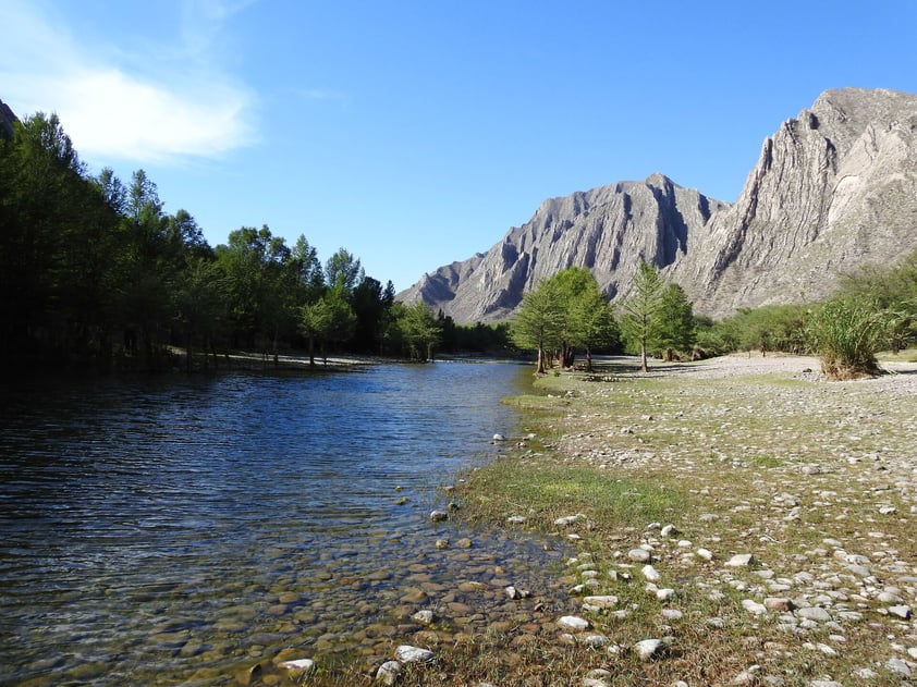 CAÑÓN DE FERNÁNDEZ:
Es el último recorrido del río Nazas antes de ser canalizado hasta las áreas de cultivo, es un humedal de importancia mundial.