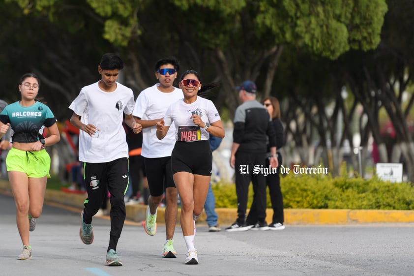 Monse Lope, Halcones