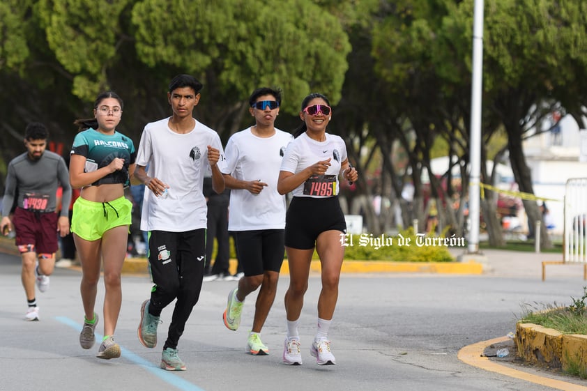 Monse Lope, Halcones