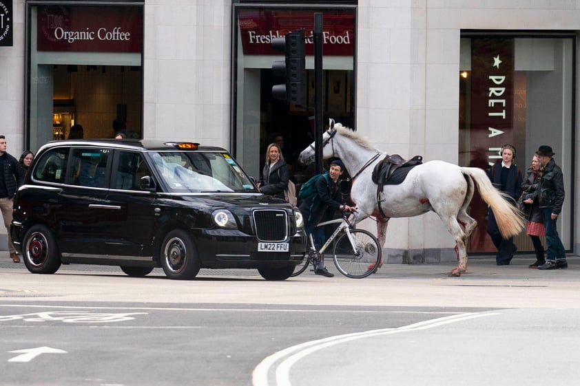 Caballos se dan a la fuga en Londres