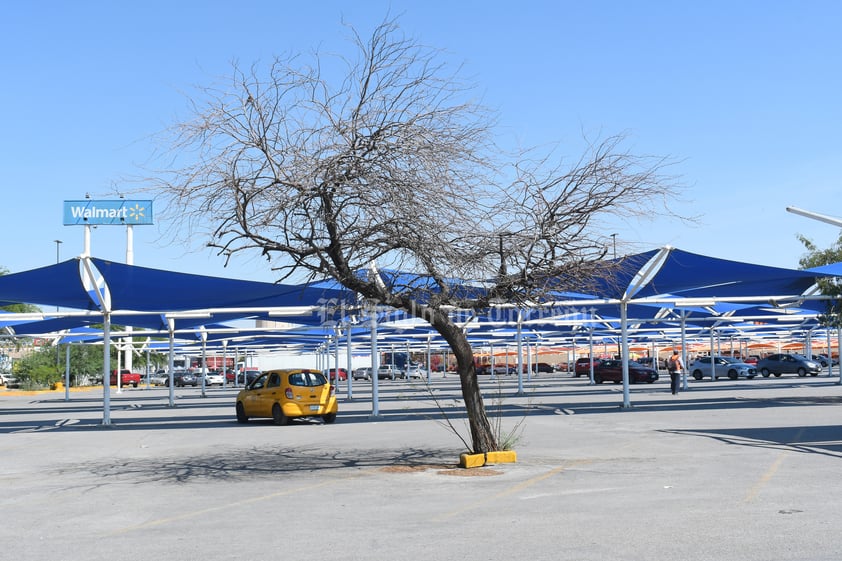 Torreón, rodeado de planchas de cemento por estacionamientos