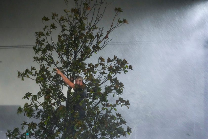 Chris Nation, of Commerce, Ga., climbs a tree and gestures while hanging out with coworkers outside the hotel where they are riding out Hurricane Milton, Wednesday, Oct. 9, 2024, in Tampa, Fla. Nation, who works for a towing company, was deployed with colleagues to Florida to aid in the aftermath of the storm. (AP Photo/Julio Cortez)