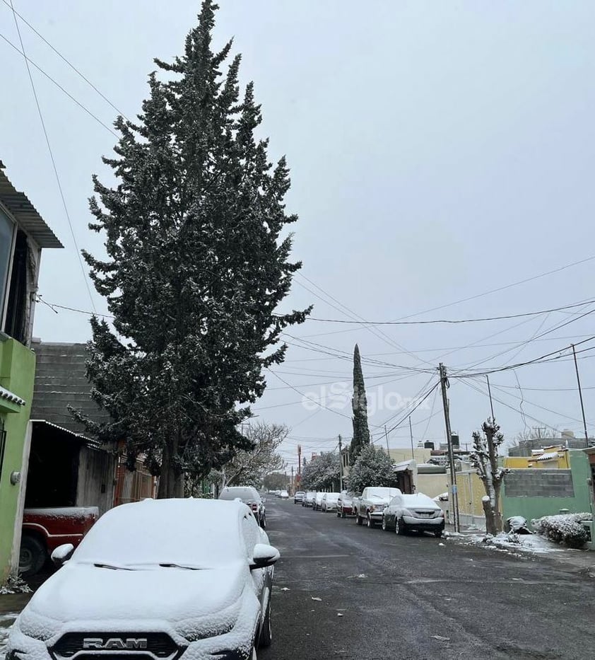 Saltillo se cubre de blanco con nevada