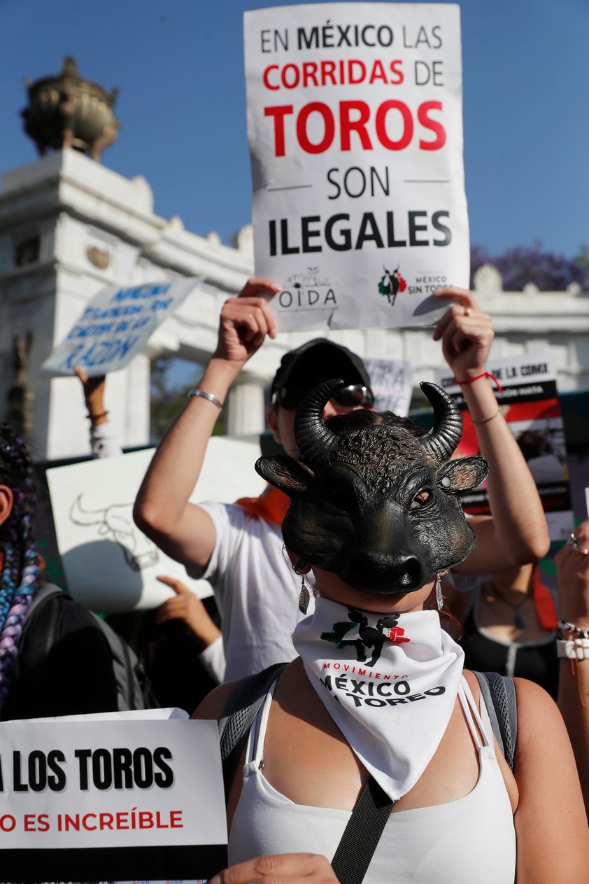 Congreso de Ciudad de México aprueba corridas de toros 'sin violencia'