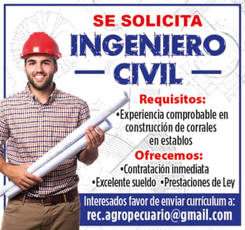 EMPLEOSESOLICITAINGENIEROCIVIL