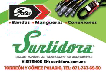 SURTIDORABANDASYMANGUERAS32PORTADANACIONAL