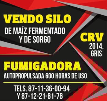 PUBLICACION