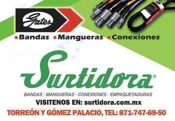SURTIDORABANDASYMANGUERAS32PORTADANACIONAL