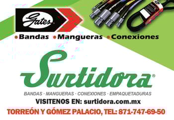 SURTIDORABANDASYMANGUERAS32PORTADANACIONAL