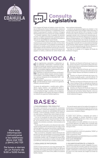 CONVOCATARIACONSULTALEGISLATIVA