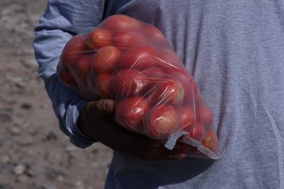 Desde temprana hora, Jorge llena su camioneta con bolsas de tomate de tres kilos para atender las necesidades de sus clientes. (VAYRON INFANTE / EL SIGLO DE TORREÓN)