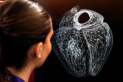Un corazón 'gemelo virtual', réplica del real, para experimentar y predecir patologías