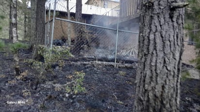Bomberos logran sofocar incendio en cabañas de San Antonio de las Alazanas