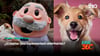 video STV - ¿El Doctor Simi implementará veterinarias?