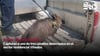 video STV - Capturan a uno de tres jabalíes detectados en el sector residencial Viñedos