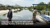 video STV - Llega laguna de regulación de la colonia Santiago Ramírez al 50 % de capacidad