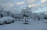 Afectados. Los estados de Nuevo León, Chihuahua, Zacatecas  y Tamaulipas reportaron nevadas y caída de aguanieve.