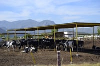 Demanda. El Gobierno estatal en Durango apoyó a los productores de leche al interponer una demanda contra Chihuahua. (EL SIGLO DE TORREÓN)