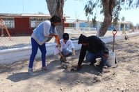 Donan árboles para 'combatir' el calor