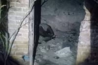 Putrefacto. Su adicción a las drogas lo arrastran a la muerte; el cadáver fue localizado putrefacto dentro de un cuarto en construcción. (EL SIGLO DE TORREÓN)