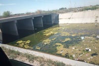 Usuarios del módulo de riego número 09 ya habían limpiado los canales de riego cuando llegó el agua sucia, proveniente de una tubería ubicada en un canal de Torreón. (EL SIGLO DE TORREÓN/EDITH GONZÁLEZ)