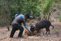 A pesar de algunos indicadores positivos en materias como salud y educación, la niñez en México enfrenta dificultades en temas como pobreza, alimentación, seguridad social y vivienda, destaca el Consejo Nacional de Evaluación de la Política de Desarrollo Social (Coneval). (ARCHIVO)