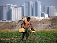 El estudio publicado en la revista 'Nature', comparó y predijo los datos de humedad del suelo en el mundo para hallar influencias humanas en los patrones de sequía a nivel mundial en el siglo pasado. (ARCHIVO)