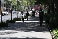 En la Ciudad de México se prepara un plan de reforestación para plantar 10 millones de árboles en todas las alcaldías de la capital. (ARCHIVO)