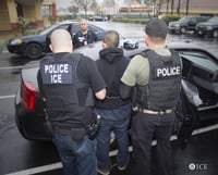 En total, más de doce estados del país, incluidos Nueva York y el Distrito de Columbia, permiten a los inmigrantes irregulares obtener licencias de conducir. (ARCHIVO)
