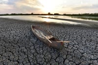 Con el apoyo del gobierno federal, a través del Seguro de Daños Climáticos en los Agostaderos, la Confederación Nacional de Organizaciones Ganaderas (CNOG) indemnizará a productores afectados por las sequías en cuatro estados del país. (ARCHIVO)