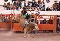 Las montas de toros de reparo siempre otorgan un alto grado de adrenalina, pero en este evento además se incluirán montas de yeguas y potros, una exhibición de floreo, escaramuzas y barrileras. (ARCHIVO)
