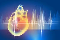 Un nuevo biomaterial que imita el tejido del corazón humano ayudará a desactivar las células que, con el paso de los años, endurecen las válvulas del órgano vital e impiden la circulación de la sangre. (ARCHIVO)