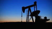 La Alianza Mexicana contra el Fracking urgió al presidente Andrés Manuel López Obrador y al Poder Legislativo a suspender de manera inmediata y prohibir el procedimiento de fractura hidráulica para obtener combustibles del subsuelo en México, debido a los daños ambientales que provoca. (ARCHIVO)