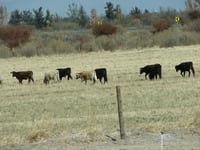 Llegan apoyos para el sector rural en zonas de alta marginación mediante el Programa de Concurrencia. (EL SIGLO DE TORREÓN)