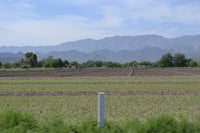 El dirigente de la CNC señaló que los apoyos en el campo han sido entregados de forma discrecional por la Administración federal. (ARCHIVO)