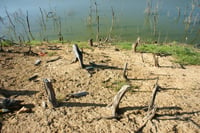 a naturaleza sufre un deterioro y se expresa en el cambio climático del planeta, que no ha podido detenerse a pesar de las negociaciones y se torna una situación preocupante. (ARCHIVO) 