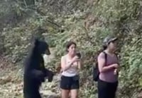 Afortunadamente durante el suceso ninguna de las protagonista resultó herida y el animal pudo continuar su camino en su hábitat natural. (CAPTURA) 