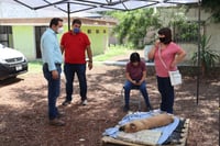 El Centro Antirrábico realizó una jornada más de esterilización canina y felina a bajo costo y, observando los protocolos sanitarios, se atendieron 40 mascotas. (EL SIGLO DE TORREÓN)