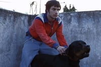 A 20 años de su estreno, el filme Amores perros sigue haciendo eco; ha vuelto a los cines locales.