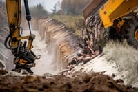 Parlamento danés aprueba sacrificar 15 millones de visones por COVID-19