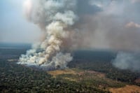 El cambio global obliga a una nueva gestión del fuego para preservar la biodiversidad, según un estudio que ha revisado casi 30,000 especies terrestres y de agua dulce clasificadas con riesgo de extinción y ha encontrado que al menos el 15% se verán amenazadas por la modificación de los regímenes de incendios. (ARCHIVO) 