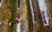 Creen que tras ser sepultados, los mismos gases provocaron que los cadáveres de los visones se hincharan y por consecuencia emergieran de la tierra (ESPECIAL)