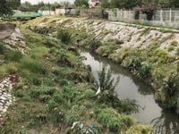 El sector más crítico del municipio es el de los márgenes del arroyo Frontera, donde se ha fumigado intensamente.