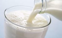 Un equipo internacional de científicos ha analizado las proteínas conservadas en trozos de cálculo dental antiguos, un método que ha ayudado a trazar la compleja historia del consumo de leche en la antigüedad en África que hasta ahora había resultado casi imposible de investigar. (ESPECIAL) 